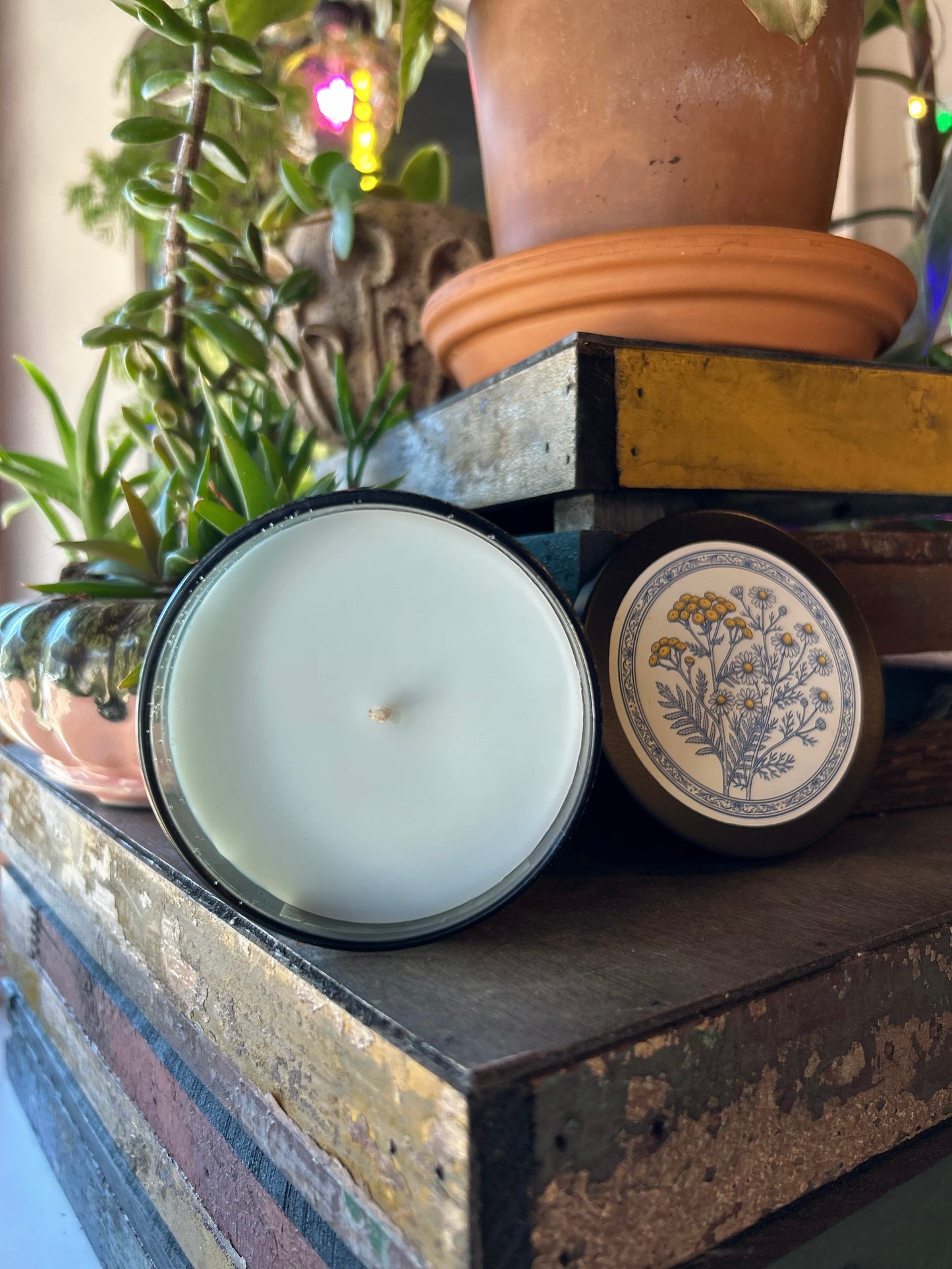 Blue Tansy Beeswax & Coconut Wax Candle 8oz