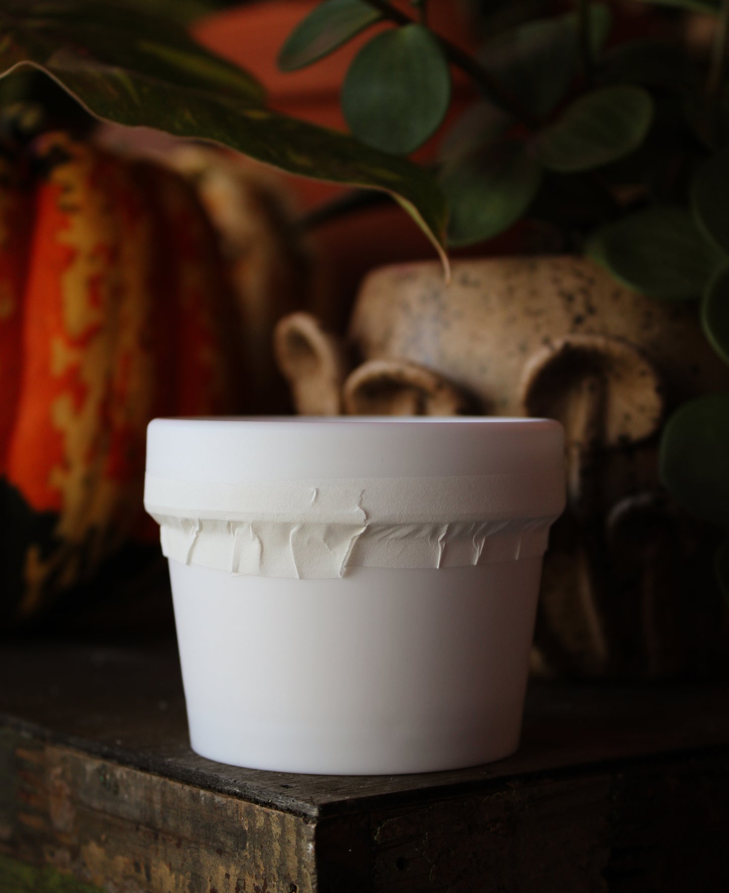 Magnesium Lotion Little Black Dress 4oz