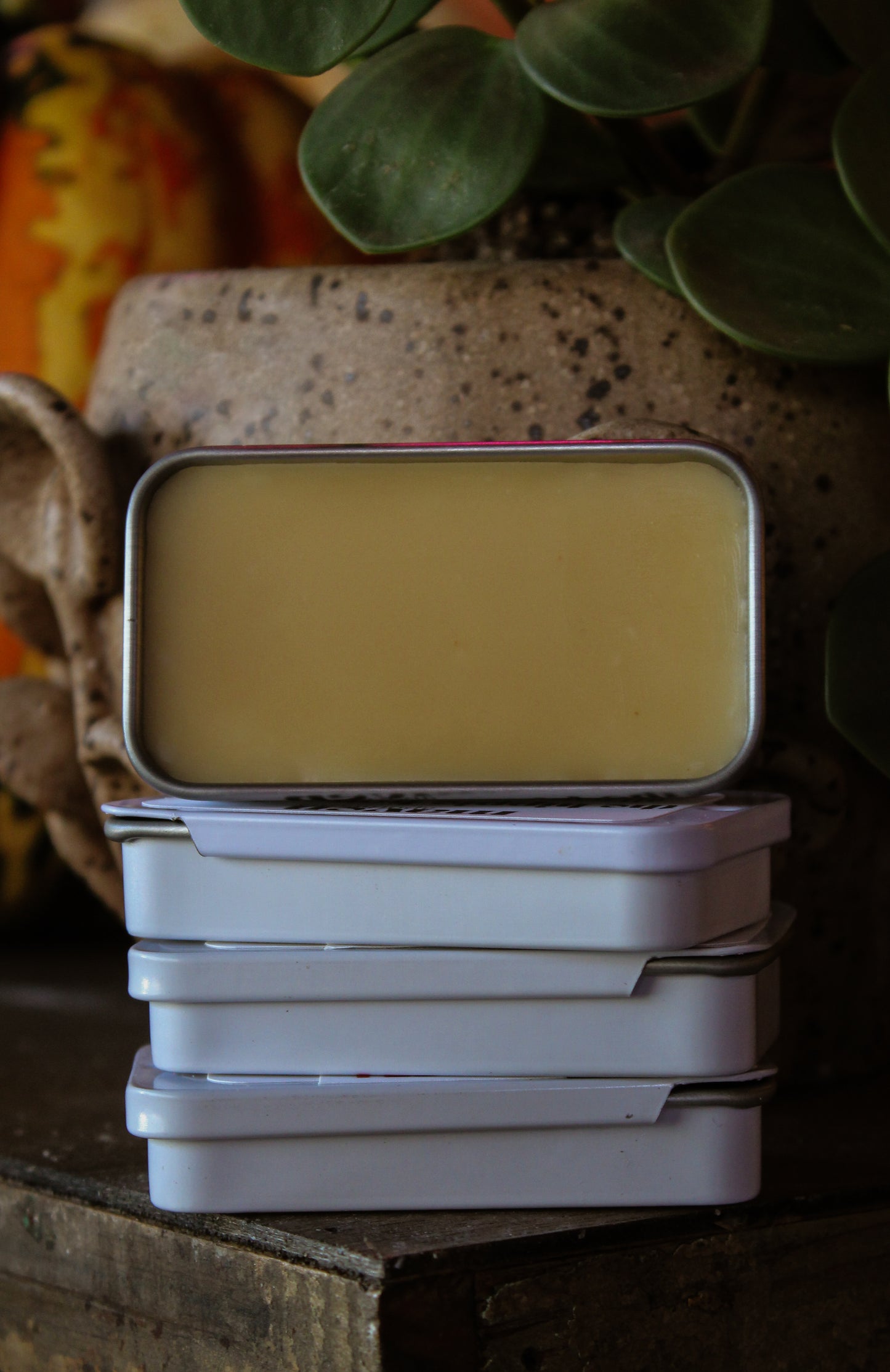 Solid Fragrance Sugared Spruce & Patchouli .7oz