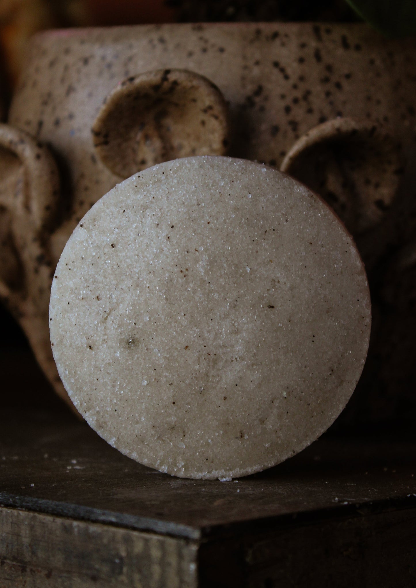 Sugar Scrub Bars Set of 2 Vanilla Bean & Orchid