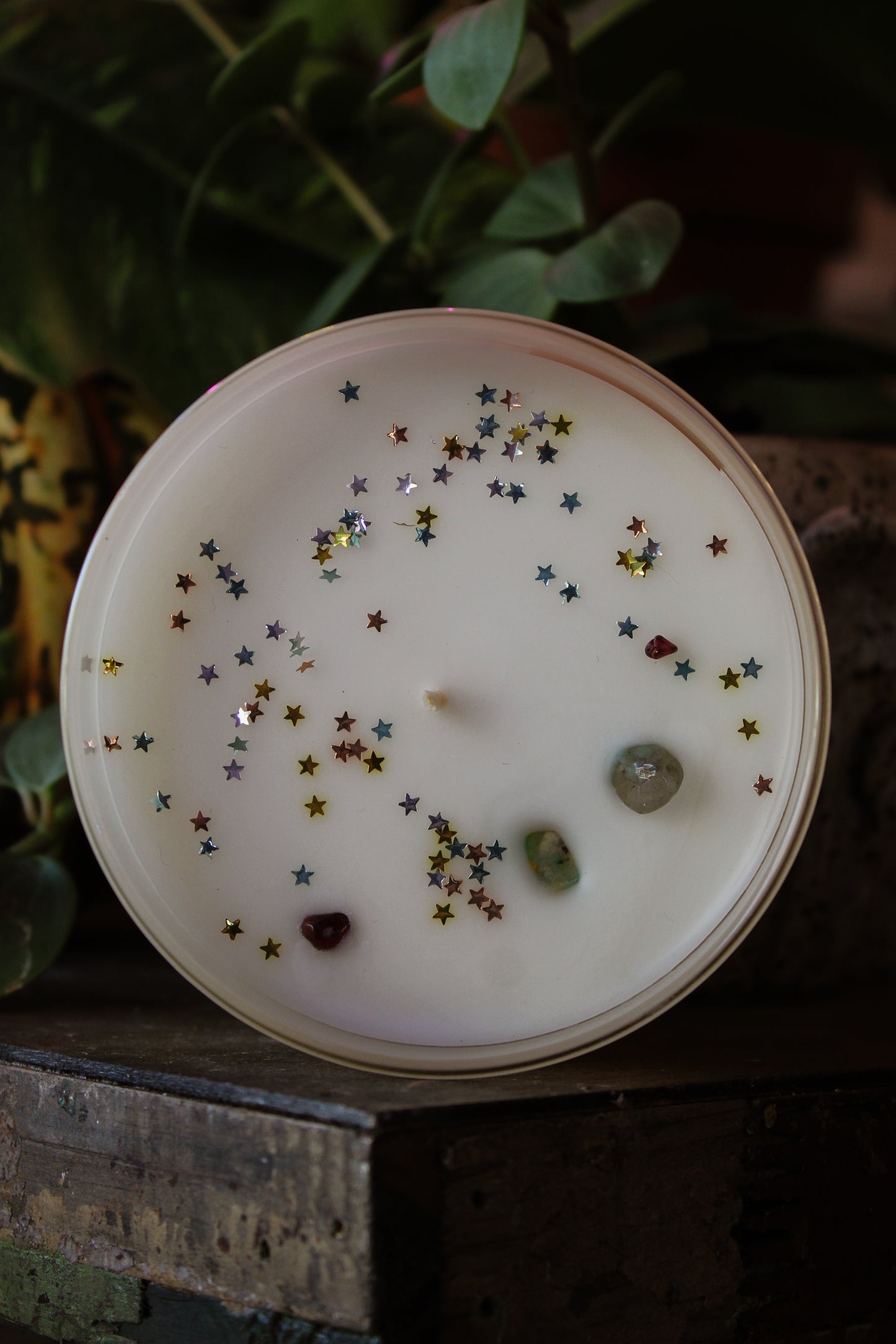 Zodiac Candle Virgo 12oz