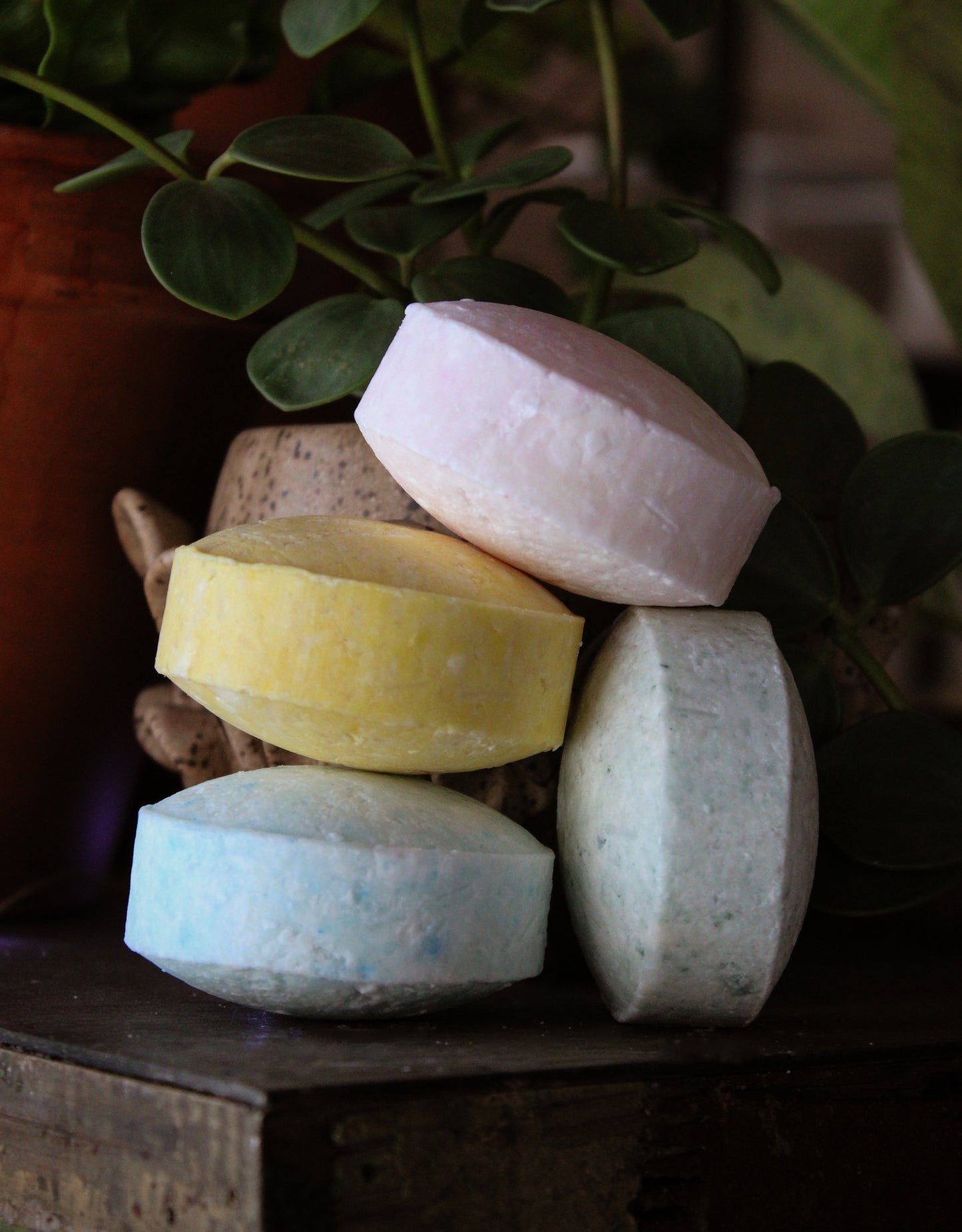 Solid Shampoo Don't Flake Out 2.5oz