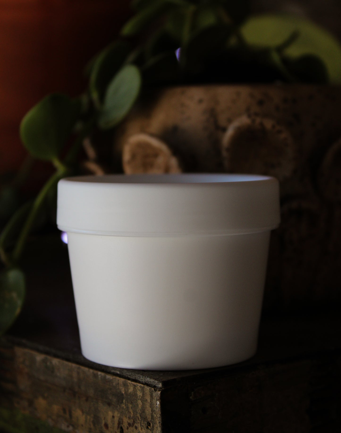 Thirsty Skin Lotion 4 oz.