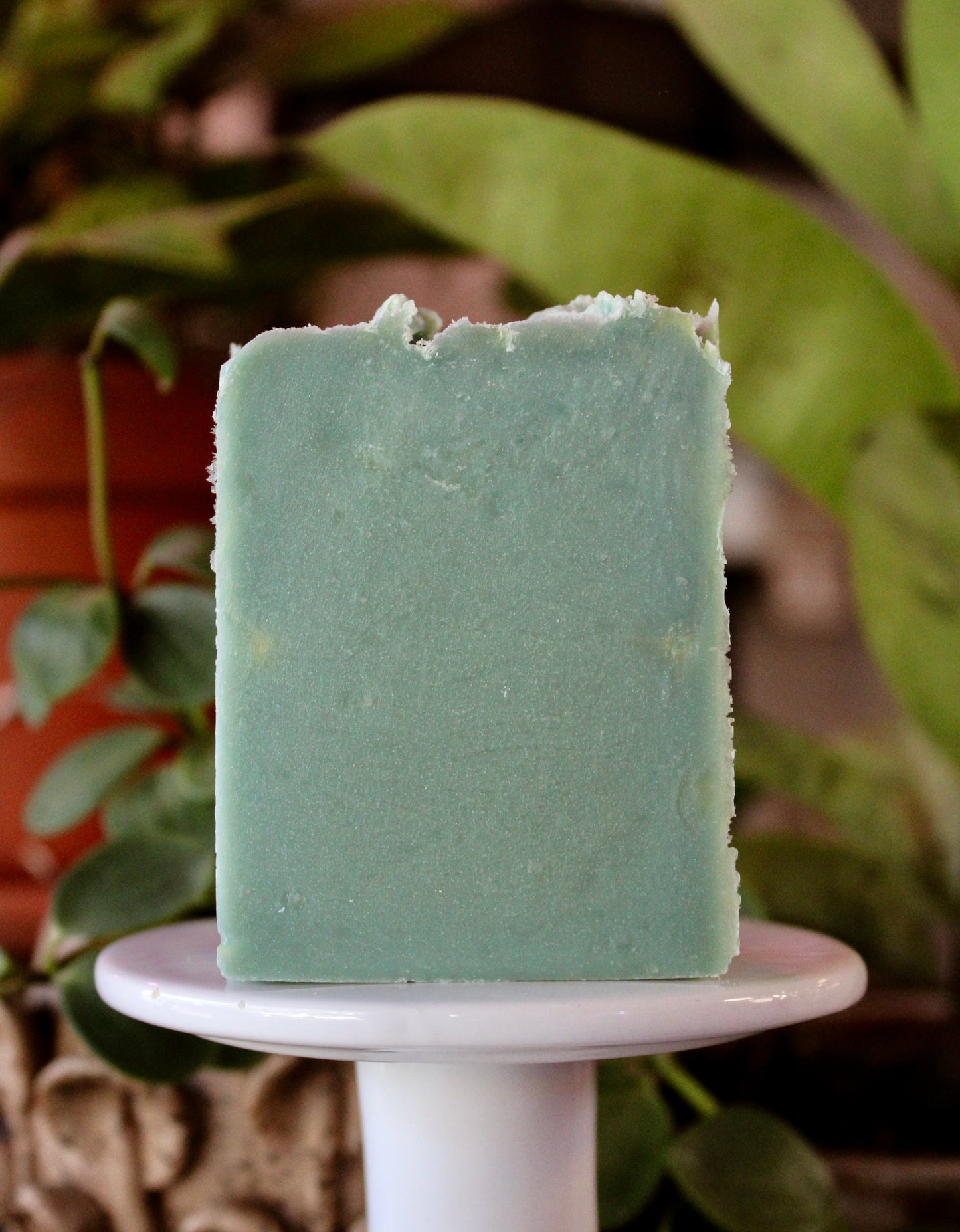 Hot Process Soap Fresh as F***! 6.5oz