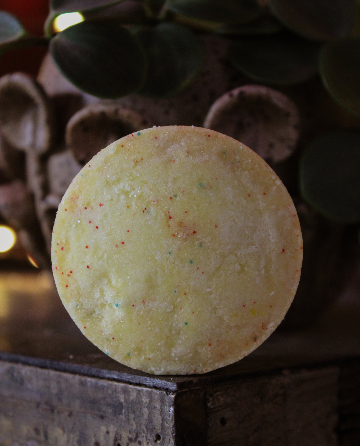 Sugar Scrub Bars Set of 2 Persimmon Citron 4oz