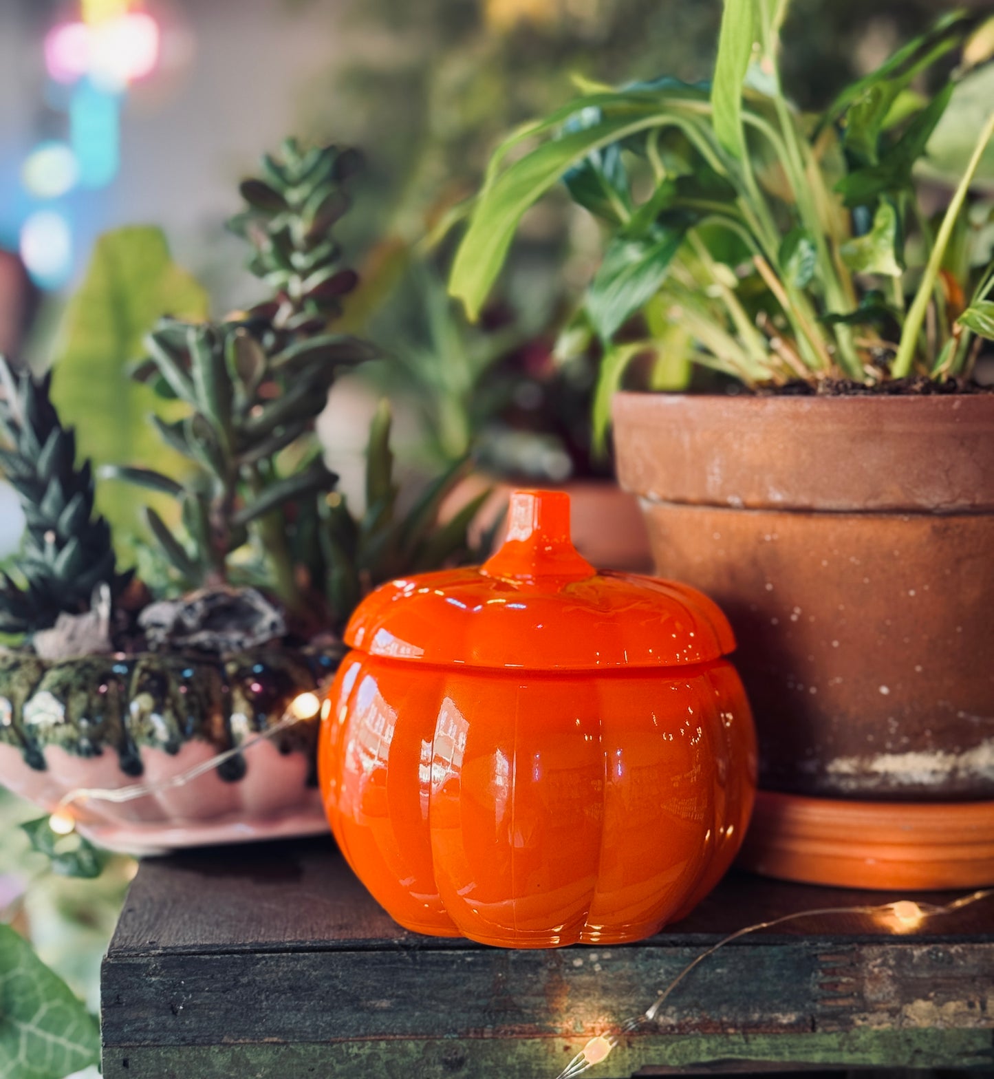 Oh My Gourd (SPECIAL EDITION) Hemp & Coconut Wax Candle 14oz