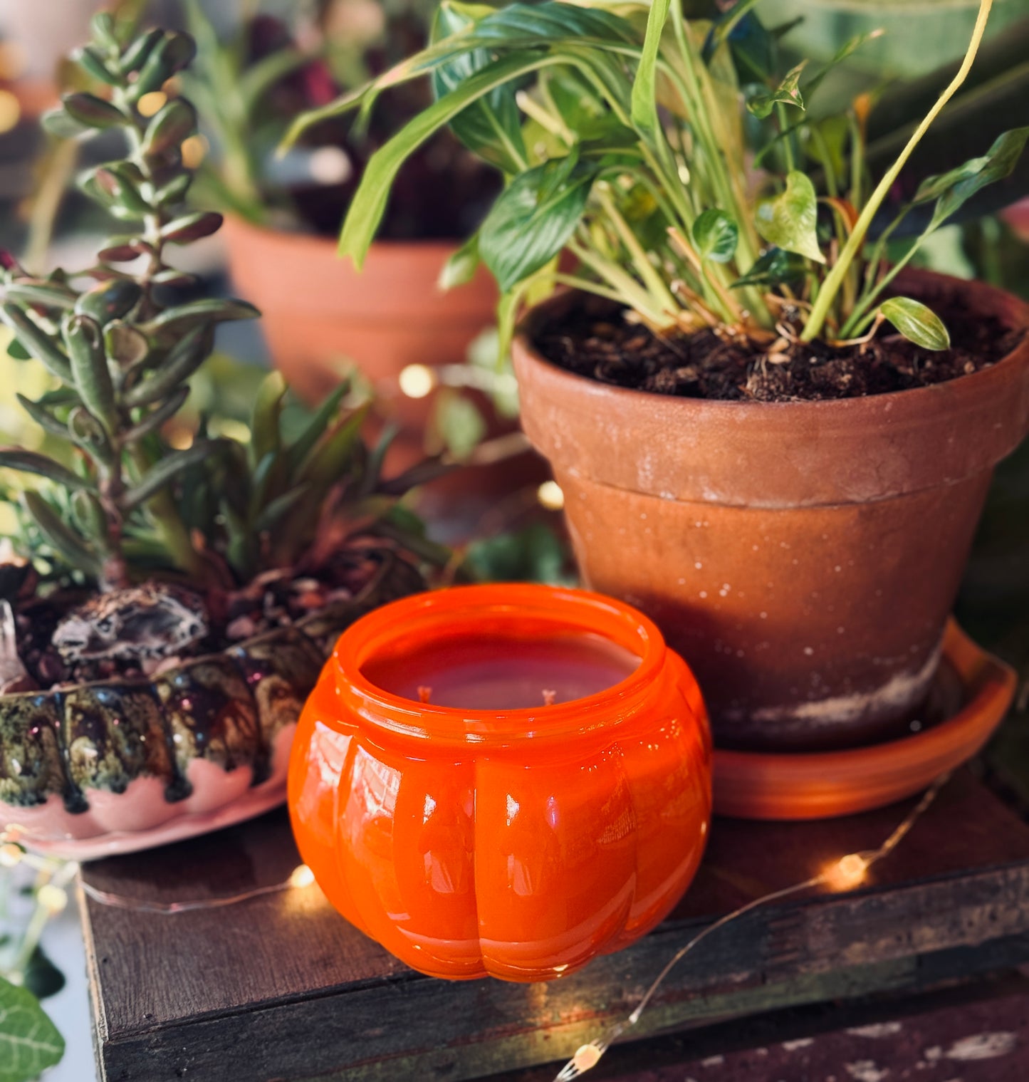 Oh My Gourd (SPECIAL EDITION) Hemp & Coconut Wax Candle 14oz