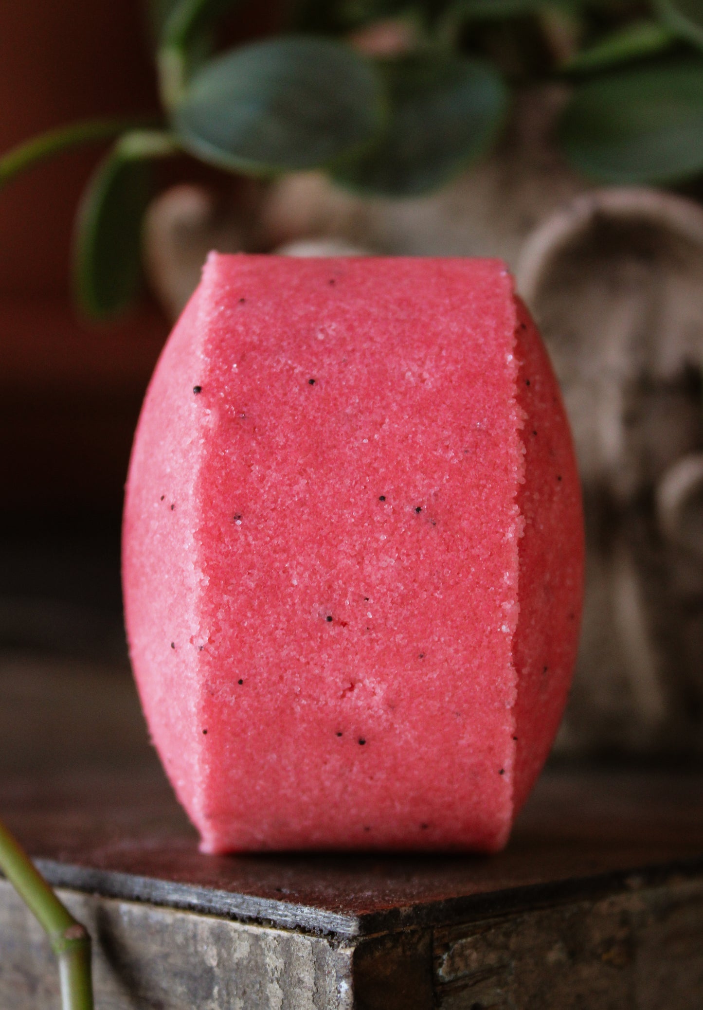 Sugar Scrub Bars Set of 2 Strawberry Girl Summer