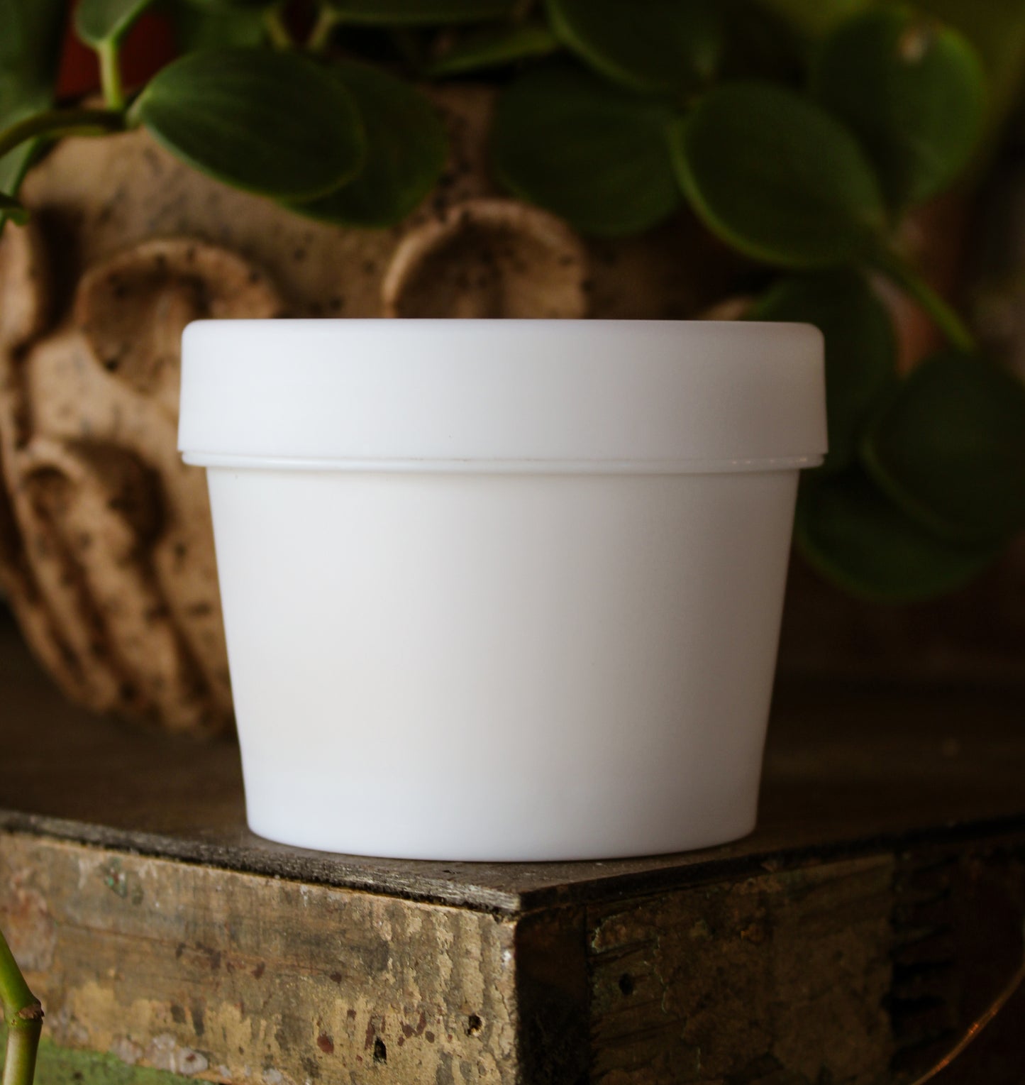 Magnesium Lotion Tart Peach 4oz