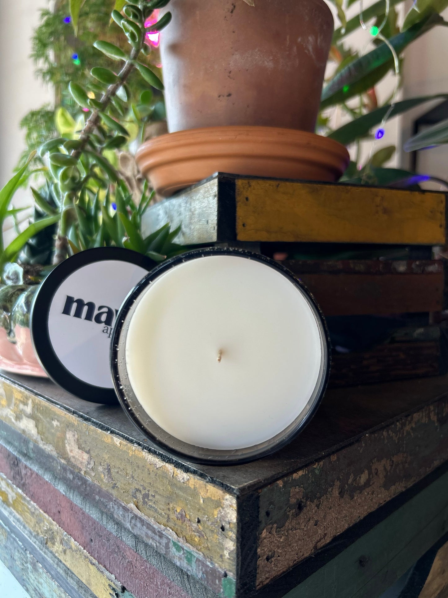 Cedar & Saffron Beeswax & Coconut Wax Candle 8oz