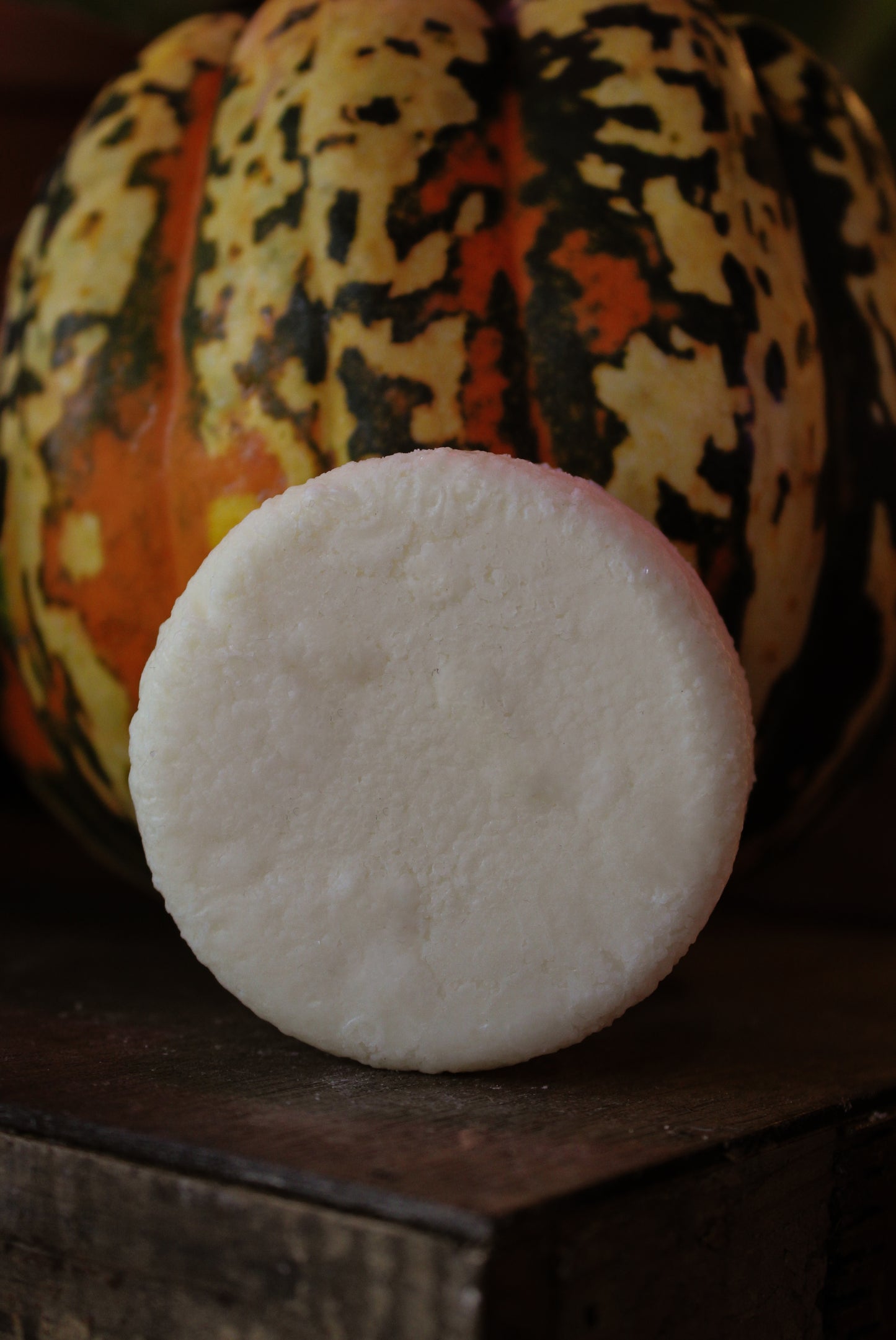 Solid Conditioner Solid Gold 2oz