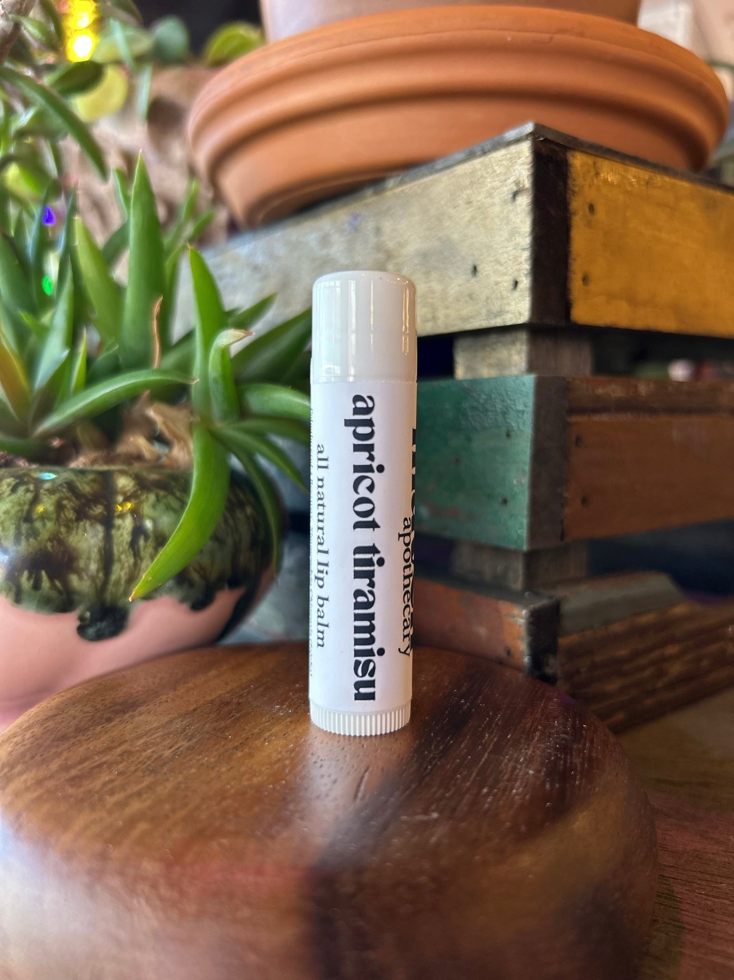 Apricot Tiramisu All-Natural Lip Balm