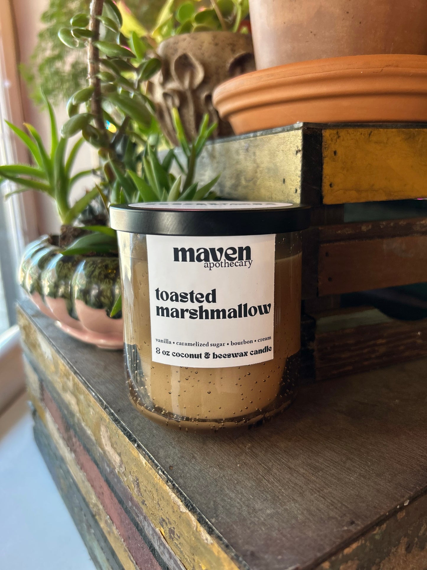 Toasted Marshmallow Beeswax & Coconut Wax Candle 8oz