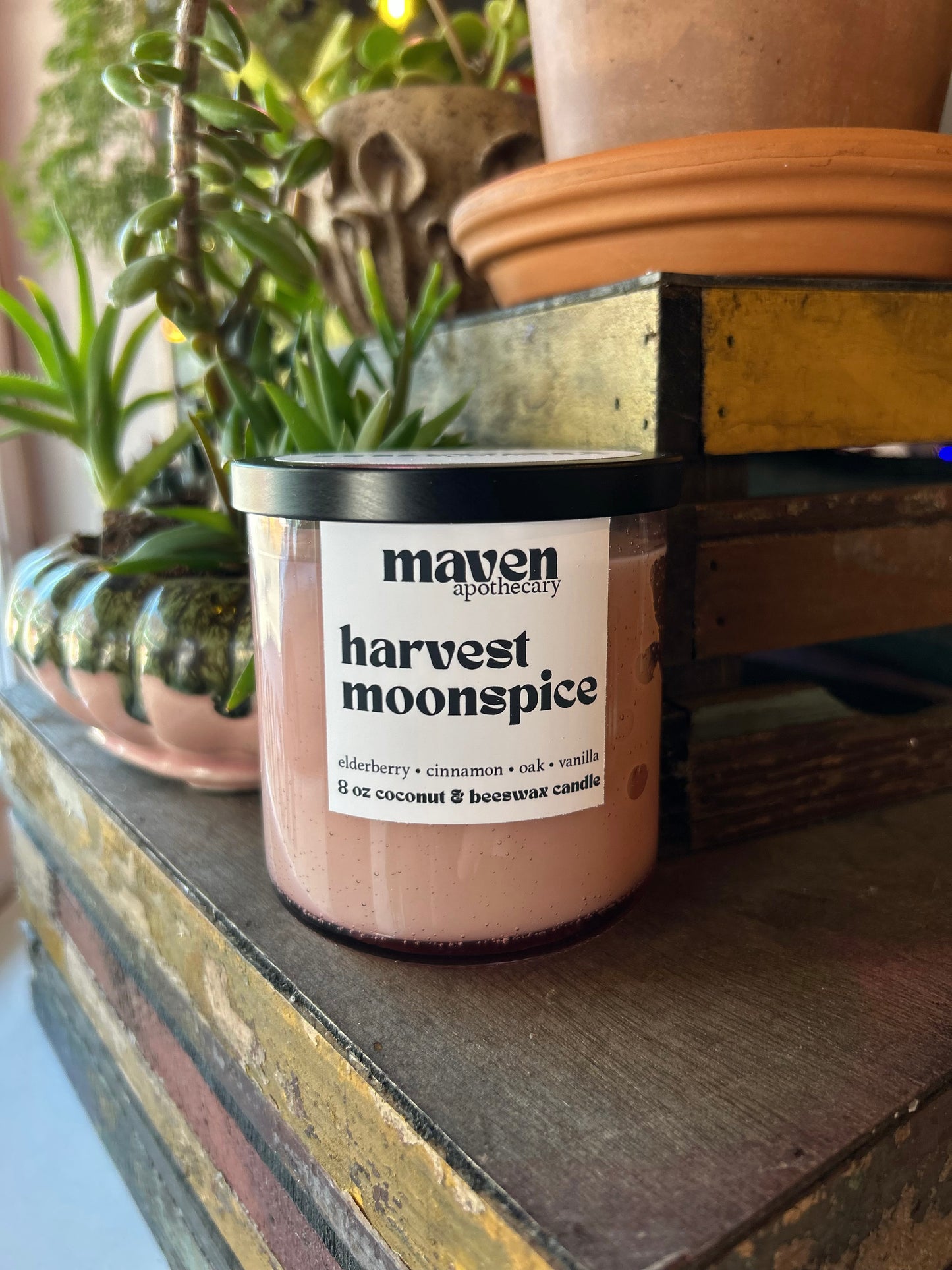 Harvest Moonspice Beeswax & Coconut Wax Candle 8oz