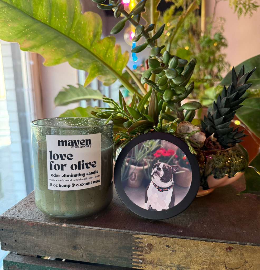 Hand-Poured Candle — Love for Olive Collection