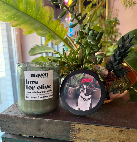 Hand-Poured Candle — Love for Olive Collection