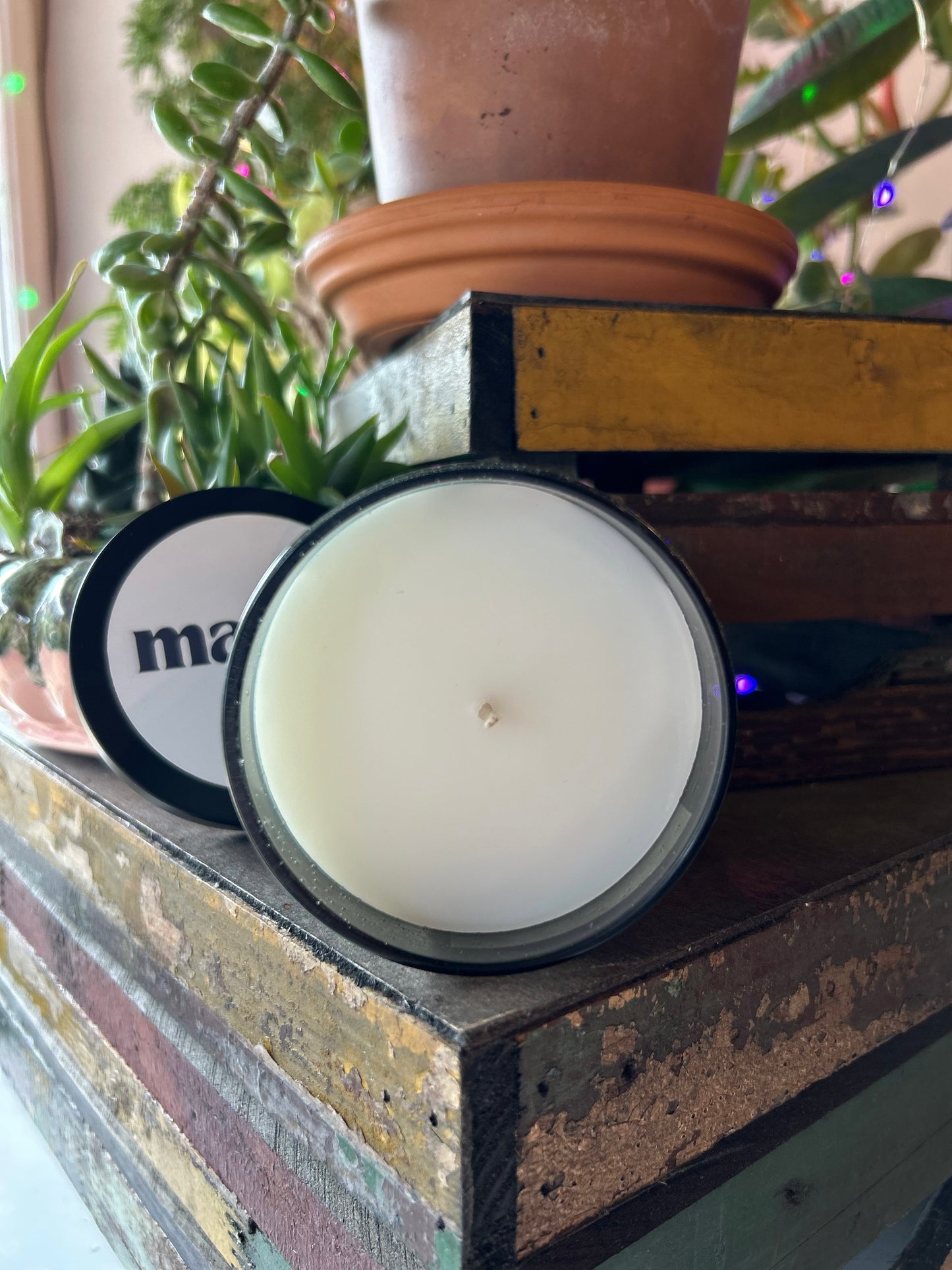 Odor Eliminator Beeswax & Coconut Wax Candle 8oz