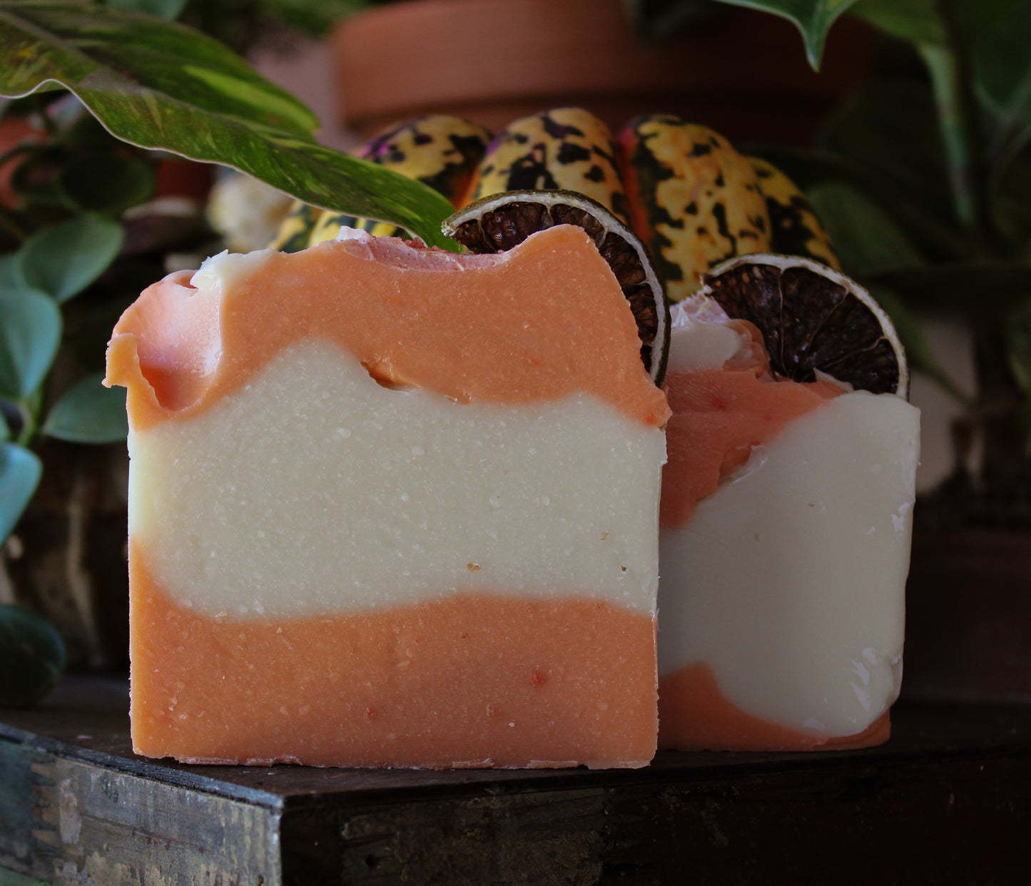 Cold Process Soap Paloma 6.5oz