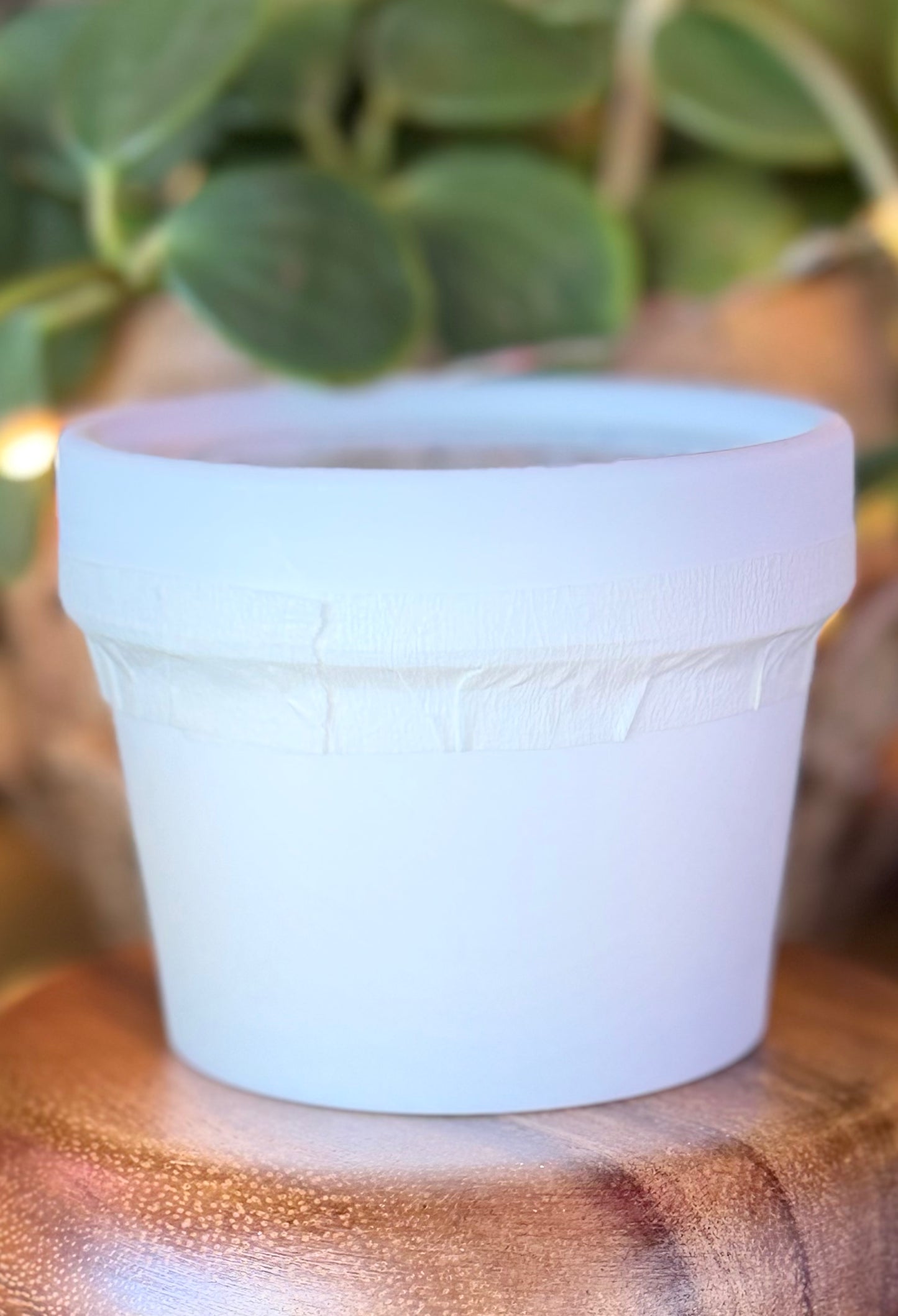 Tallow Balm Lavender Basil 4oz