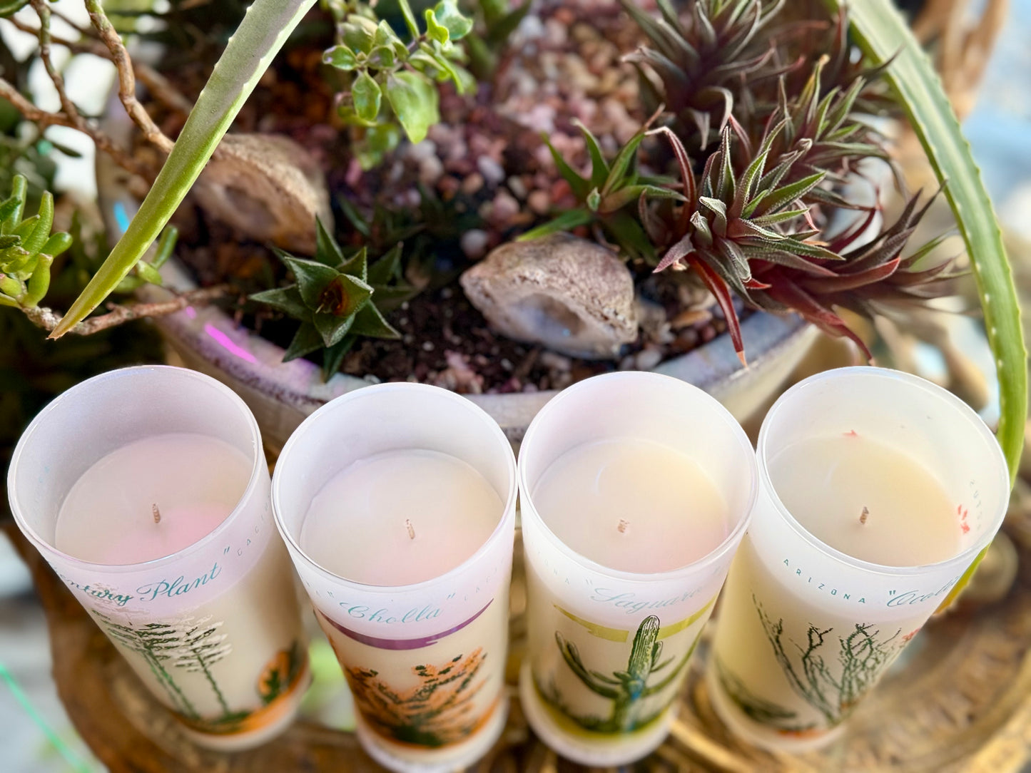 Cactus Dew (SPECIAL EDITION) Hemp & Coconut Wax Candle 11 oz