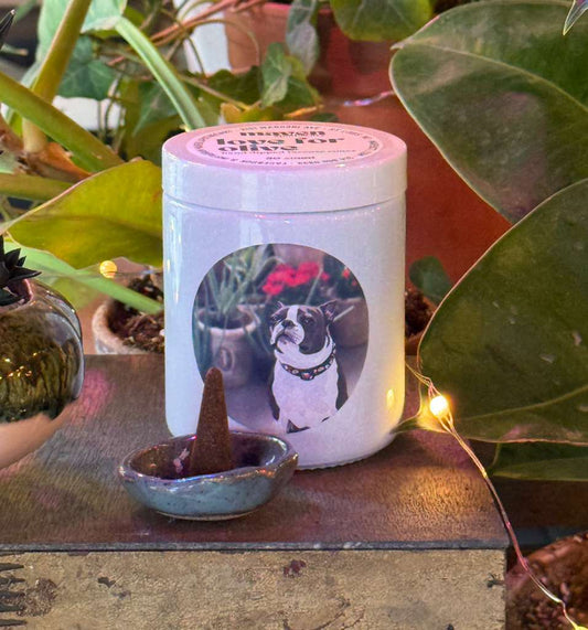 Hand-Dipped Incense Cones — Love for Olive Collection